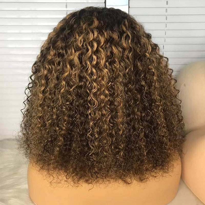Brazilian Human Hair Lace Front Water Wave Wig with Highlights