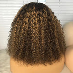 Brazilian Human Hair Lace Front Water Wave Wig with Highlights