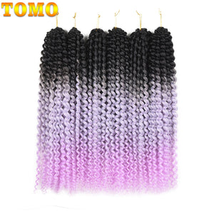 Passion Twist Pre Looped Crochet Braids Bundle 22 Strands per Pack