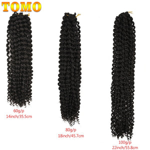 Passion Twist Pre Looped Crochet Braids Bundle 22 Strands per Pack