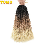 Passion Twist Pre Looped Crochet Braids Bundle 22 Strands per Pack