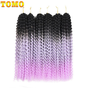 Passion Twist Pre Looped Crochet Braids Bundle 22 Strands per Pack