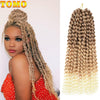 Passion Twist Pre Looped Crochet Braids 7 Bundle Pack 22 Strands per Pack 18inches