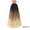 Passion Twist Pre Looped Crochet Braids Bundle 22 Strands per Pack