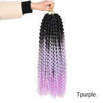 Passion Twist Pre Looped Crochet Braids Bundle 22 Strands per Pack