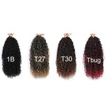 Goddess Locs Crochet Braids 6 Pack
